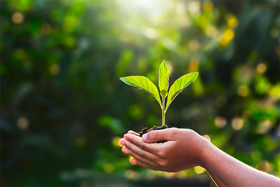 Soluciones de Gestión