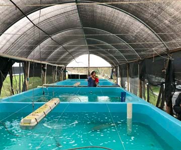 BAP Hatchery Standard Issue 2.0 Finalized