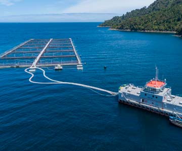 ASC launches public consultation on new ASC Farm Standard covering all ASC certified species