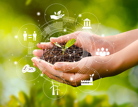 Asesoría y Gestión Ambiental