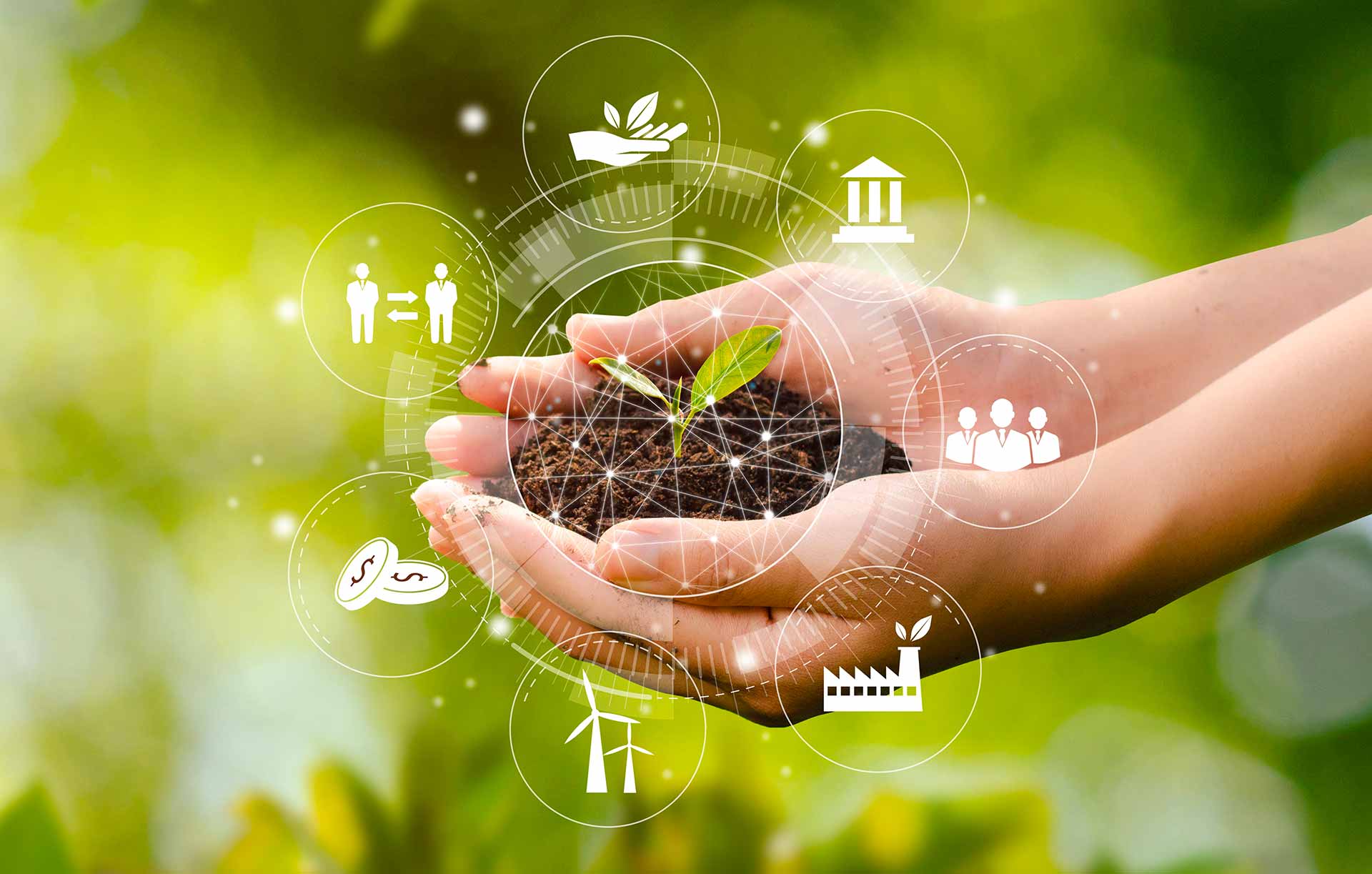 Asesoría y Gestión Ambiental