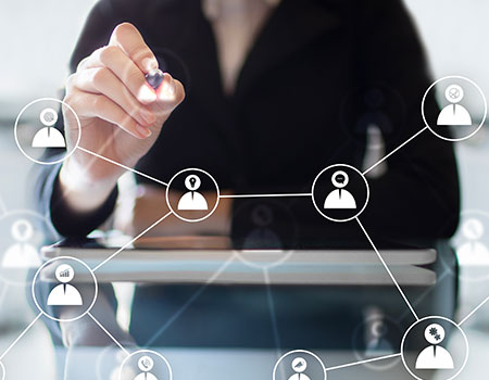 Estructura Organizacional