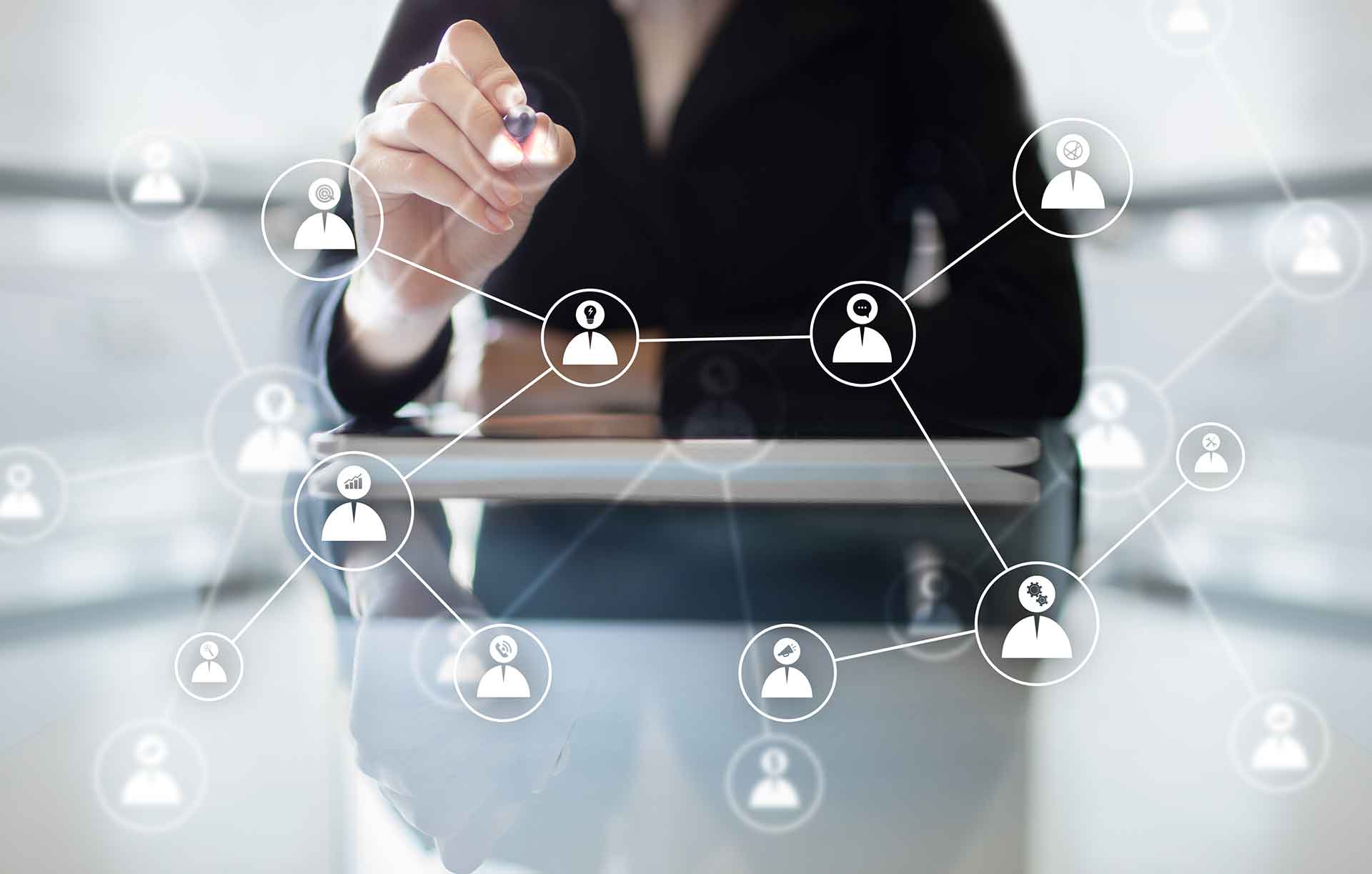 Estructura Organizacional